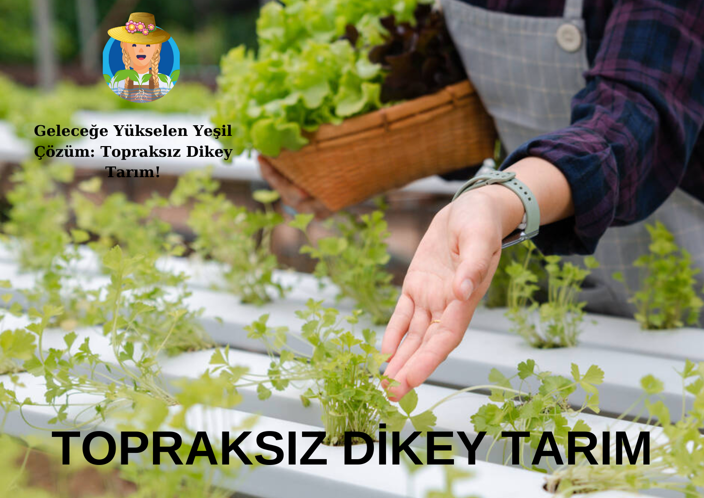 TOPRAKSIZ DİKEY TARIM